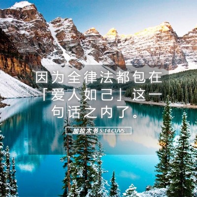 Picture 05 - 加 拉 太 书 5:14 CUVS - 因 为 全 律 法 都 包 在 「 爱 人 如 - Bible Verse Picture