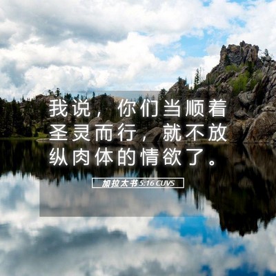 Picture 05 - 加 拉 太 书 5:16 CUVS - 我 说 ， 你 们 当 顺 着 圣 灵 而 行 - Bible Verse Picture