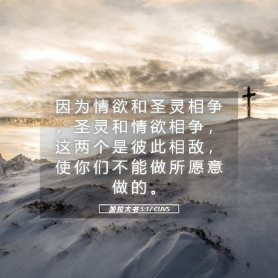 Picture 05 - 加 拉 太 书 5:17 CUVS - 因 为 情 欲 和 圣 灵 相 争 ， 圣 灵 - Bible Verse Picture