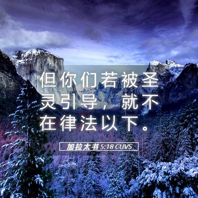 Picture 05 - 加 拉 太 书 5:18 CUVS - 但 你 们 若 被 圣 灵 引 导 ， 就 不 - Bible Verse Picture