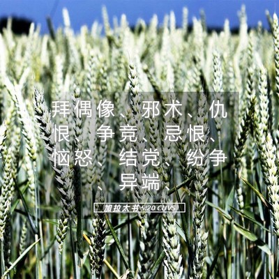 Picture 05 - 加 拉 太 书 5:20 CUVS - 拜 偶 像 、 邪 术 、 仇 恨 、 争 竞 - Bible Verse Picture