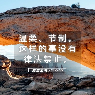 Picture 05 - 加 拉 太 书 5:23 CUVS - 温 柔 、 节 制 。 这 样 的 事 没 有 - Bible Verse Picture