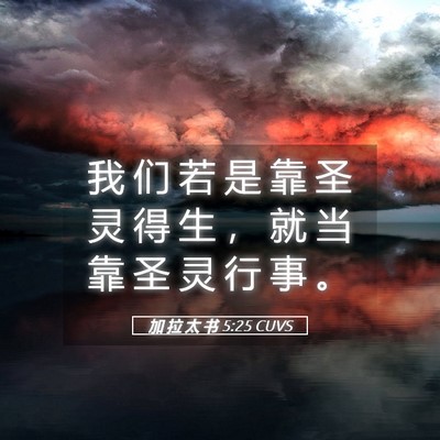 Picture 05 - 加 拉 太 书 5:25 CUVS - 我 们 若 是 靠 圣 灵 得 生 ， 就 当 - Bible Verse Picture