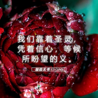 Picture 05 - 加 拉 太 书 5:5 CUVS - 我 们 靠 着 圣 灵 ， 凭 着 信 心 ， - Bible Verse Picture