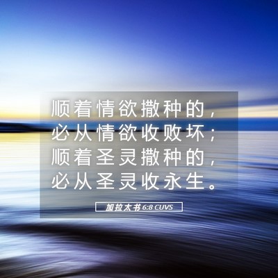 Picture 05 - 加 拉 太 书 6:8 CUVS - 顺 着 情 欲 撒 种 的 ， 必 从 情 欲 - Bible Verse Picture