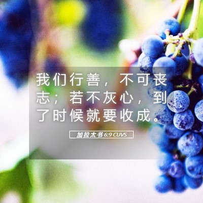 Picture 05 - 加 拉 太 书 6:9 CUVS - 我 们 行 善 ， 不 可 丧 志 ； 若 不 - Bible Verse Picture