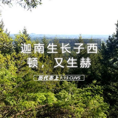 Picture 05 - 历 代 志 上 1:13 CUVS - 迦 南 生 长 子 西 顿 ， 又 生 - Bible Verse Picture