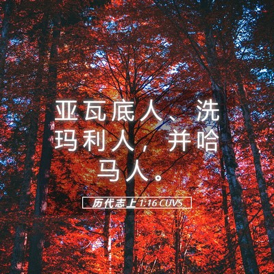 Picture 05 - 历 代 志 上 1:16 CUVS - 亚 瓦 底 人 、 洗 玛 利 人 ， 并 哈 - Bible Verse Picture