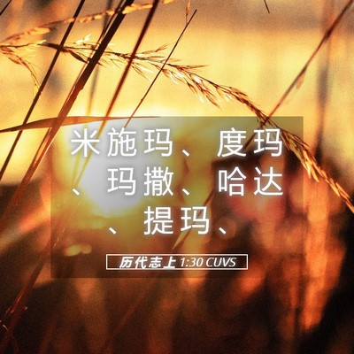 Picture 05 - 历 代 志 上 1:30 CUVS - 米 施 玛 、 度 玛 、 玛 撒 、 哈 达 - Bible Verse Picture