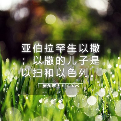 Picture 05 - 历 代 志 上 1:34 CUVS - 亚 伯 拉 罕 生 以 撒 ； 以 撒 的 儿 - Bible Verse Picture