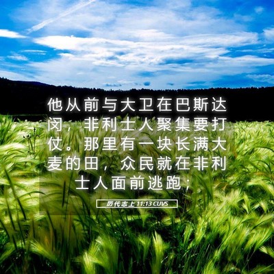 Picture 05 - 历 代 志 上 11:13 CUVS - 他 从 前 与 大 卫 在 巴 斯 达 闵 ， - Bible Verse Picture