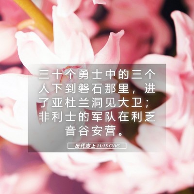 Picture 05 - 历 代 志 上 11:15 CUVS - 三 十 个 勇 士 中 的 三 个 人 下 到 - Bible Verse Picture