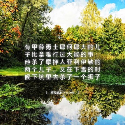Picture 05 - 历 代 志 上 11:22 CUVS - 有 甲 薛 勇 士 耶 何 耶 大 的 儿 子 - Bible Verse Picture