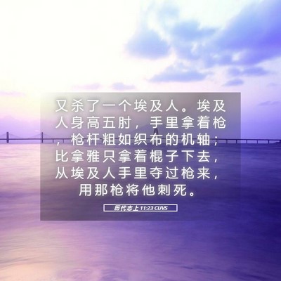 Picture 05 - 历 代 志 上 11:23 CUVS - 又 杀 了 一 个 埃 及 人 。 埃 及 人 - Bible Verse Picture