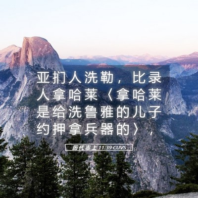 Picture 05 - 历 代 志 上 11:39 CUVS - 亚 扪 人 洗 勒 ， 比 录 人 拿 哈 莱 - Bible Verse Picture
