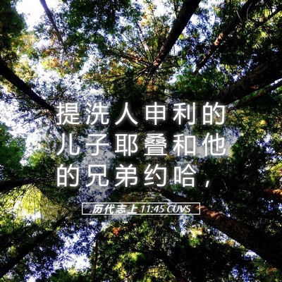 Picture 05 - 历 代 志 上 11:45 CUVS - 提 洗 人 申 利 的 儿 子 耶 叠 和 他 - Bible Verse Picture