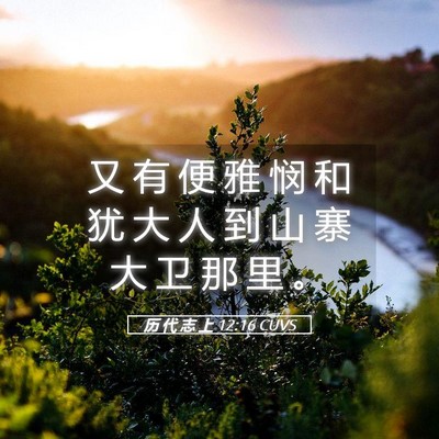 Picture 05 - 历 代 志 上 12:16 CUVS - 又 有 便 雅 悯 和 犹 大 人 到 山 寨 - Bible Verse Picture