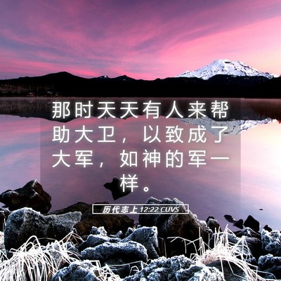 Picture 05 - 历 代 志 上 12:22 CUVS - 那 时 天 天 有 人 来 帮 助 大 卫 ， - Bible Verse Picture