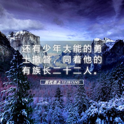 Picture 05 - 历 代 志 上 12:28 CUVS - 还 有 少 年 大 能 的 勇 士 撒 督 ， - Bible Verse Picture