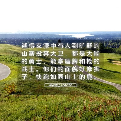 Picture 05 - 历 代 志 上 12:8 CUVS - 迦 得 支 派 中 有 人 到 旷 野 的 山 - Bible Verse Picture
