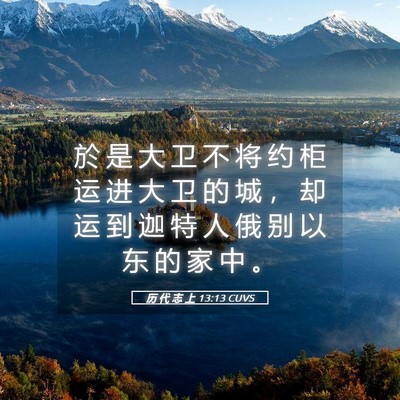 Picture 05 - 历 代 志 上 13:13 CUVS - 於 是 大 卫 不 将 约 柜 运 进 大 卫 - Bible Verse Picture
