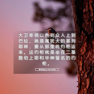 Picture 05 - 历 代 志 上 13:6 CUVS - 大 卫 率 领 以 色 列 众 人 上 到 巴 - Bible Verse Picture