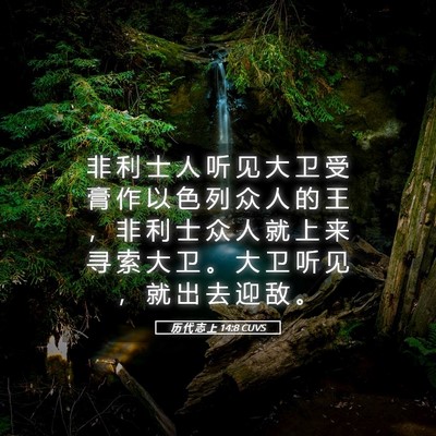 Picture 05 - 历 代 志 上 14:8 CUVS - 非 利 士 人 听 见 大 卫 受 膏 作 以 - Bible Verse Picture