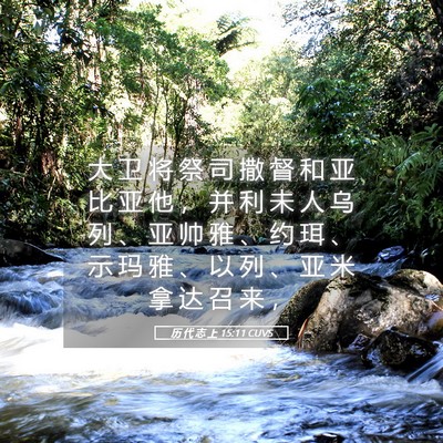 Picture 05 - 历 代 志 上 15:11 CUVS - 大 卫 将 祭 司 撒 督 和 亚 比 亚 他 - Bible Verse Picture