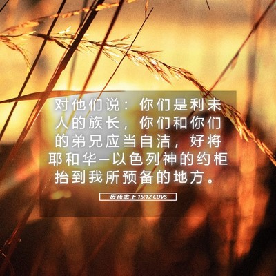 Picture 05 - 历 代 志 上 15:12 CUVS - 对 他 们 说 ： 你 们 是 利 未 人 的 - Bible Verse Picture