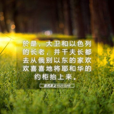 Picture 05 - 历 代 志 上 15:25 CUVS - 於 是 ， 大 卫 和 以 色 列 的 长 老 - Bible Verse Picture