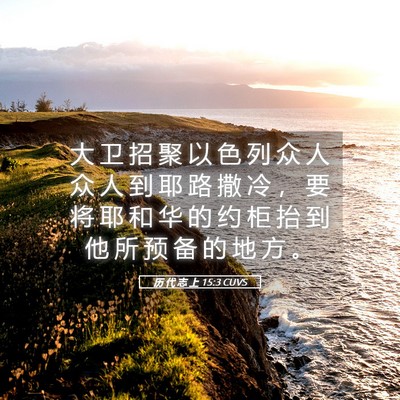 Picture 05 - 历 代 志 上 15:3 CUVS - 大 卫 招 聚 以 色 列 众 人 众 人 到 - Bible Verse Picture