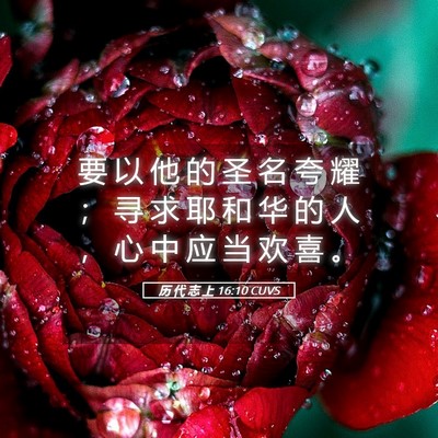 Picture 05 - 历 代 志 上 16:10 CUVS - 要 以 他 的 圣 名 夸 耀 ； 寻 求 耶 - Bible Verse Picture