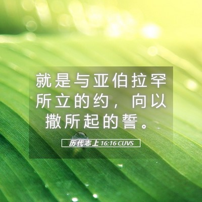 Picture 05 - 历 代 志 上 16:16 CUVS - 就 是 与 亚 伯 拉 罕 所 立 的 约 ， - Bible Verse Picture