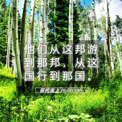 Picture 05 - 历 代 志 上 16:20 CUVS - 他 们 从 这 邦 游 到 那 邦 ， 从 这 - Bible Verse Picture