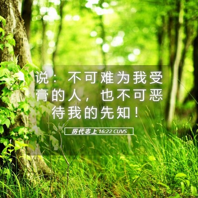 Picture 05 - 历 代 志 上 16:22 CUVS - 说 ： 不 可 难 为 我 受 膏 的 人 ， - Bible Verse Picture