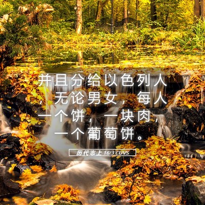 Picture 05 - 历 代 志 上 16:3 CUVS - 并 且 分 给 以 色 列 人 ， 无 论 男 - Bible Verse Picture