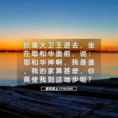 Picture 05 - 历 代 志 上 17:16 CUVS - 於 是 大 卫 王 进 去 ， 坐 在 耶 和 - Bible Verse Picture