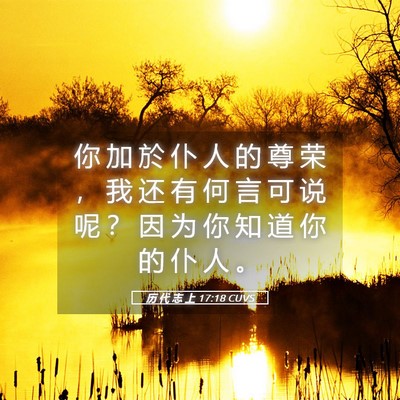 Picture 05 - 历 代 志 上 17:18 CUVS - 你 加 於 仆 人 的 尊 荣 ， 我 还 有 - Bible Verse Picture