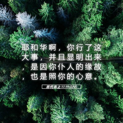 Picture 05 - 历 代 志 上 17:19 CUVS - 耶 和 华 啊 ， 你 行 了 这 大 事 ， - Bible Verse Picture