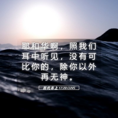 Picture 05 - 历 代 志 上 17:20 CUVS - 耶 和 华 啊 ， 照 我 们 耳 中 听 见 - Bible Verse Picture