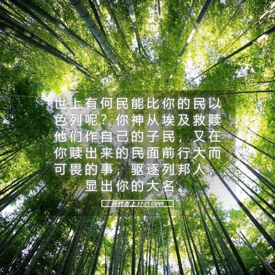 Picture 05 - 历 代 志 上 17:21 CUVS - 世 上 有 何 民 能 比 你 的 民 以 色 - Bible Verse Picture