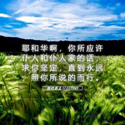 Picture 05 - 历 代 志 上 17:23 CUVS - 耶 和 华 啊 ， 你 所 应 许 仆 人 和 - Bible Verse Picture