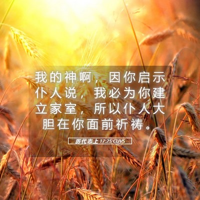 Picture 05 - 历 代 志 上 17:25 CUVS - 我 的 神 啊 ， 因 你 启 示 仆 人 说 - Bible Verse Picture