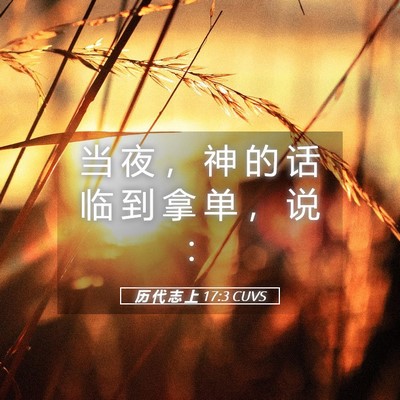 Picture 05 - 历 代 志 上 17:3 CUVS - 当 夜 ， 神 的 话 临 到 拿 单 ， 说 - Bible Verse Picture
