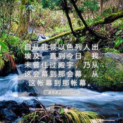 Picture 05 - 历 代 志 上 17:5 CUVS - 自 从 我 领 以 色 列 人 出 埃 及 ， - Bible Verse Picture