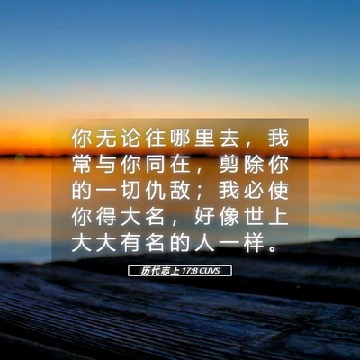 Picture 05 - 历 代 志 上 17:8 CUVS - 你 无 论 往 哪 里 去 ， 我 常 与 你 - Bible Verse Picture