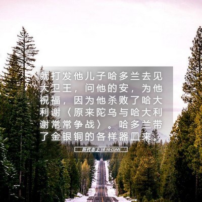 Picture 05 - 历 代 志 上 18:10 CUVS - 就 打 发 他 儿 子 哈 多 兰 去 见 大 - Bible Verse Picture