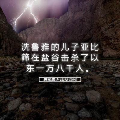 Picture 05 - 历 代 志 上 18:12 CUVS - 洗 鲁 雅 的 儿 子 亚 比 筛 在 盐 谷 - Bible Verse Picture