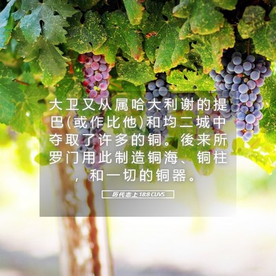 Picture 05 - 历 代 志 上 18:8 CUVS - 大 卫 又 从 属 哈 大 利 谢 的 提 巴 ( - Bible Verse Picture