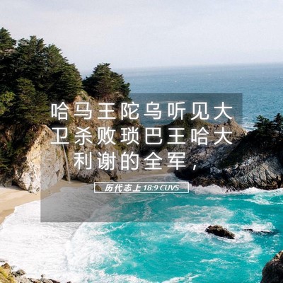 Picture 05 - 历 代 志 上 18:9 CUVS - 哈 马 王 陀 乌 听 见 大 卫 杀 败 琐 - Bible Verse Picture